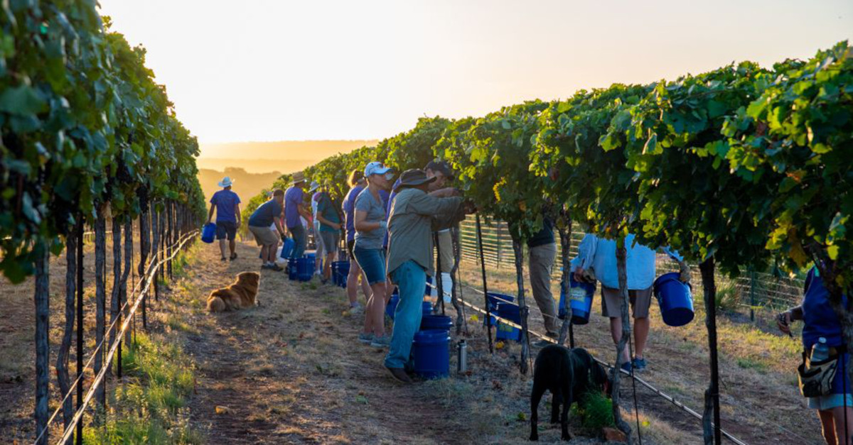 Torr Na Loch Harvest 2022