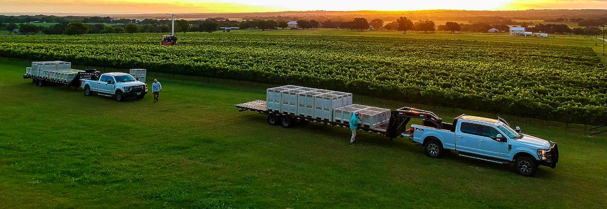 Vintage Press Vineyard